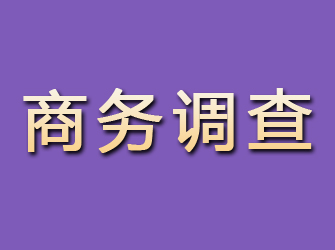 武胜商务调查